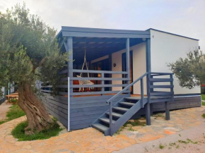 Olive House Pirovac